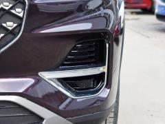 2021 год 290TGDI DCT pride edition 2021 290TGDI DCT pride edition Фото 31 из 159