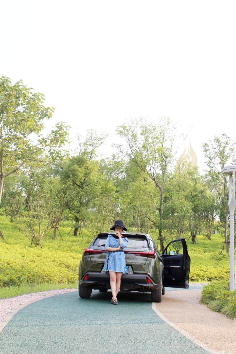 Lexus UX200