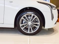 2021 28T люкс 2021 28T luxury Фото 86 из 110