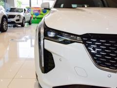 2021 28T люкс 2021 28T luxury Фото 75 из 110