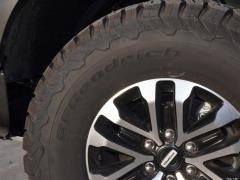Версия с улучшенной производительностью 3.5T Raptor 2019 года 2019 3.5T Raptor performance enhanced version Фото 22 из 48