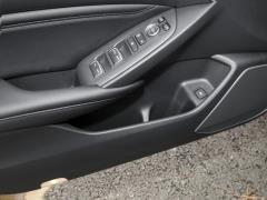 2021 Rui · Гибрид 2.0L Ruizhi · Star Limited Edition 2021 Rui·Hybrid 2.0L Ruizhi·Star Limited Edition Фото 409 из 704