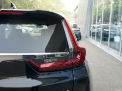 2021 год - Sharp Hybrid 2.0L 4WD Net Edition 2021 Sharp Hybrid 2.0L 4WD Net Edition Фото 129 из 665