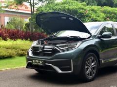 2021 год - Sharp Hybrid 2.0L 4WD Net Enjoy Edition 2021 Sharp Hybrid 2.0L 4WD Net Enjoy Edition Фото 12 из 60