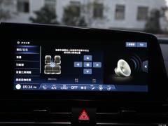 2021 240TGDi DCT LUX Премиум издание 2021 240TGDi DCT LUX Premium Edition Фото 93 из 544