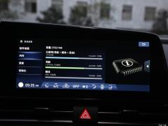2021 240TGDi DCT LUX Премиум издание 2021 240TGDi DCT LUX Premium Edition Фото 100 из 544