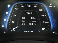 2021 240TGDi DCT полноприводная версия GLS, ведущая 2021 240TGDi DCT two-wheel drive GLS leading version Фото 114 из 274