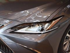2020 300h Premium Edition 2020 300h Premium Edition Фото 17 из 50