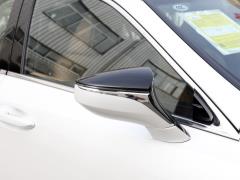 2020 300h Premium Edition 2020 300h Premium Edition Фото 84 из 175
