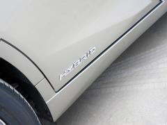 2020 300h Premium Edition 2020 300h Premium Edition Фото 88 из 266