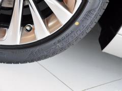 2020 300h Executive Edition 2020 300h Executive Edition Фото 127 из 266
