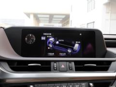 2020 300h Premium Edition 2020 300h Premium Edition Фото 46 из 498
