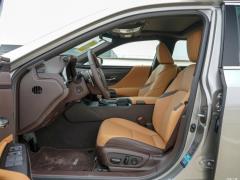 2020 300h Premium Edition 2020 300h Premium Edition Фото 408 из 498
