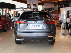 Модель 200 AWD 2020 г., Fengshang Edition, Китай VI 2020 Model 200 AWD, Fengshang Edition, China VI Фото 6 из 53