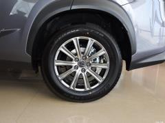 Модель 200 AWD 2020 г., Fengshang Edition, Китай VI 2020 Model 200 AWD, Fengshang Edition, China VI Фото 31 из 53