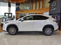 Модель 200 Front Drive Front Travel Edition National VI 2020 года 2020 Model 200 Front Drive Front Travel Edition National VI Фото 4 из 130