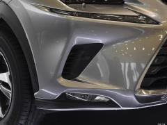 2020 300h полноприводный Fengzhi Edition China VI 2020 300h all-wheel drive Fengzhi Edition China VI Фото 226 из 271