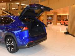2020 300h полноприводный F SPORT кантри VI 2020 300h all-wheel drive F SPORT country VI Фото 75 из 77