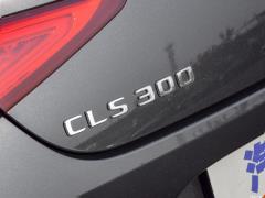 CLS 300 Dynamic 2021 года 2021 CLS 300 Dynamic Фото 58 из 74