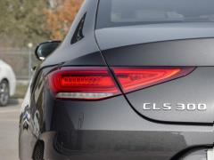 CLS 300 Dynamic 2021 года 2021 CLS 300 Dynamic Фото 56 из 74