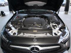2021 CLS 300 Делюкс 2021 CLS 300 Deluxe Фото 9 из 57