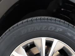 2021 2.0T полноприводный элитный 7-местный 2021 2.0T 2WD Elite Edition 7-seater Фото 65 из 379